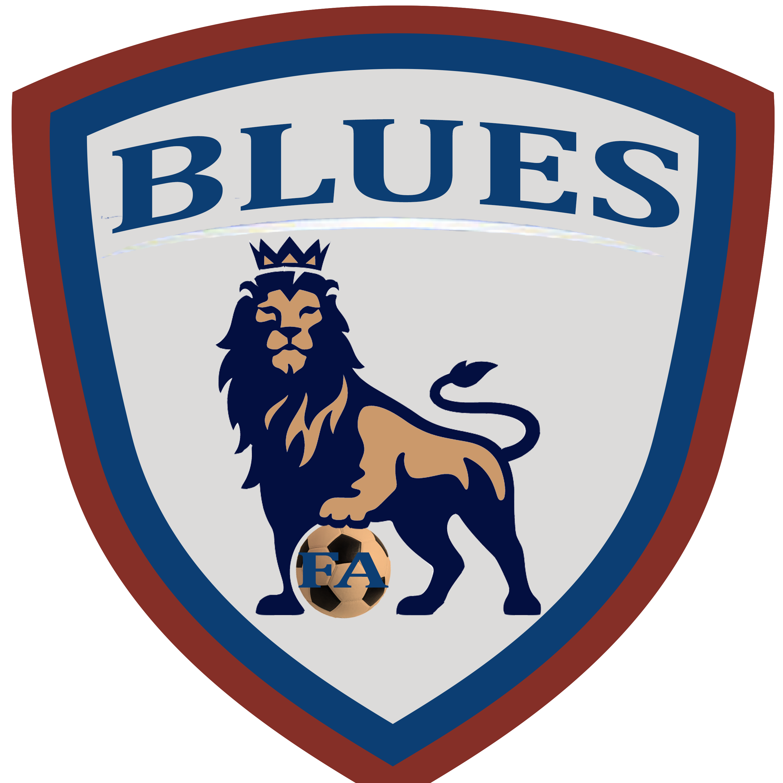 Blues Football Academy